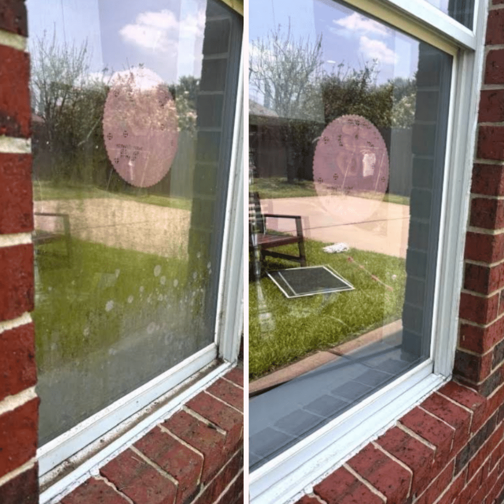 clearview window cleaning